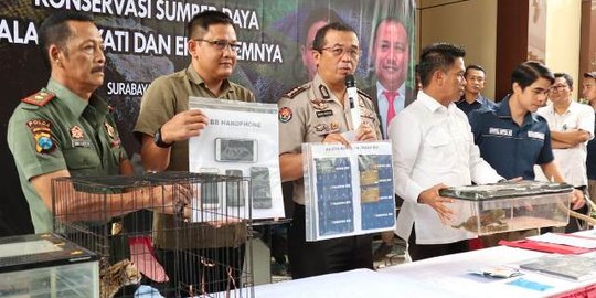 Penjualan 7 Satwa Dilindungi ke Luar Negeri Digagalkan