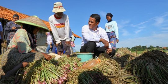 Mentan Sambangi Petani Bawang di Brebes