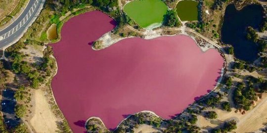 Fenomena Alam Unik, Danau di Melbourne Berubah Warna Jadi Pink