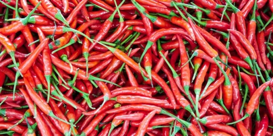 Resep Sambal Lado Uwok Khas Padang, Cocok untuk Menemani Makan Siang Anda