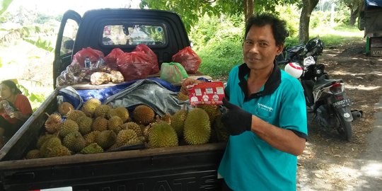 Pembagian KIS Tak Merata di Bali, Pedagang Durian Maju Jadi Caleg Gerindra