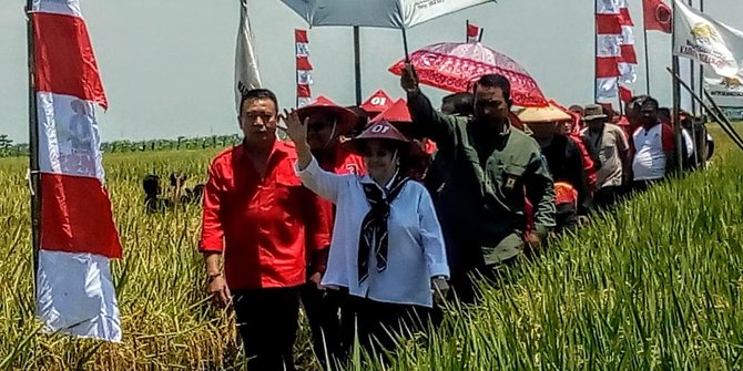 Hadiri Panen Raya di Indramayu, Megawati Ajak Anak Muda Tak Malu Bertani