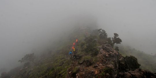 Menjelajahi Keindahan Gunung Sumbing