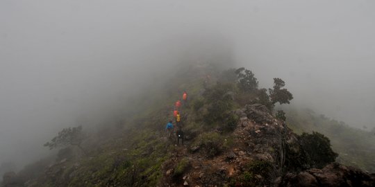 Menjelajahi Indahnya Gunung Sumbing