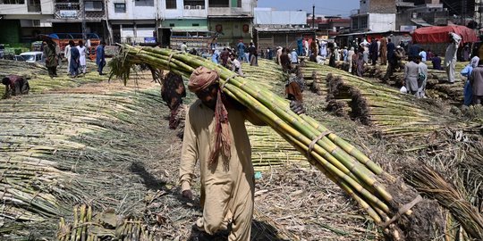 Melihat Buruh Panggul di Pasar Pakistan