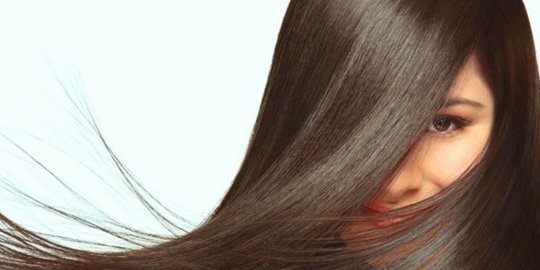 berbagai porositas rambut