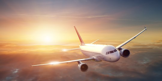 Fakta-Fakta Masih Mahalnya Tiket Pesawat, Hingga Menko Darmin Turun Tangan