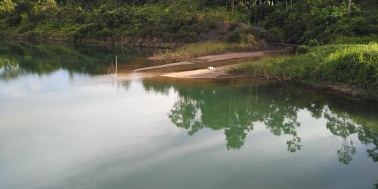 33 Nyawa Melayang, Aktivis Sebut Lubang Eks Tambang di Kaltim Mirip Bom Waktu