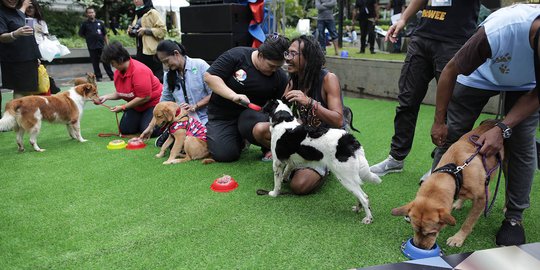 Serunya Kontes Anjing di Central Park Jakarta