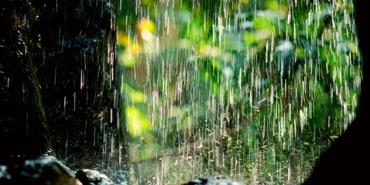 Rombongan Pendaki Terjebak Hujan Deras di Gunung Buthak 