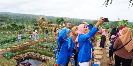 Pemkab Banyuwangi Ubah Kawasan Tandus Jadi Wisata Agro yang Cantik