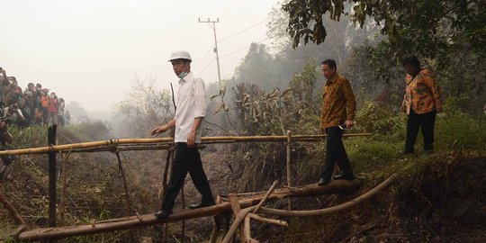 Dekat Tol dan Bandara, Kawasan Bukit Soeharto Diusulkan Jadi Lokasi Baru Ibu Kota