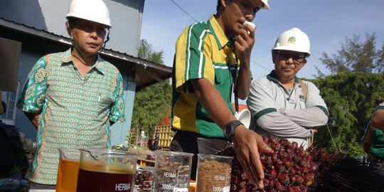 Kembangkan CPO, Pabrik Katalis Merah Putih Ditargetkan Beroperasi di 2020