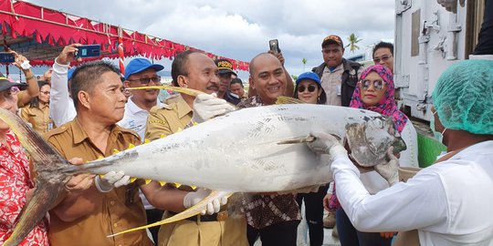 15 Ton Ikan Layang Masuk Pengiriman Perdana Muatan Balik Komoditas dengan Tol Laut