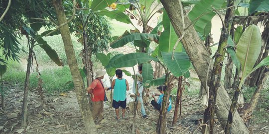 Mayat Berdaster Ungu Ditemukan di Pinggir Sungai Citarum