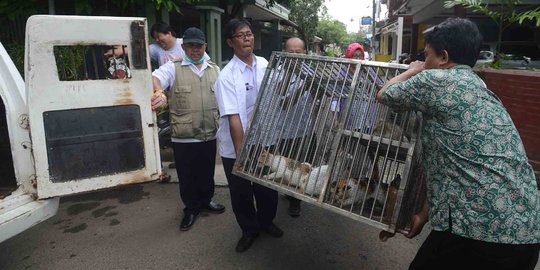 7 Warga Kepulauan Sangihe Meninggal Dunia Akibat Rabies