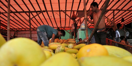 Pasokan Langka, Harga Timun Suri Melonjak di Jakarta