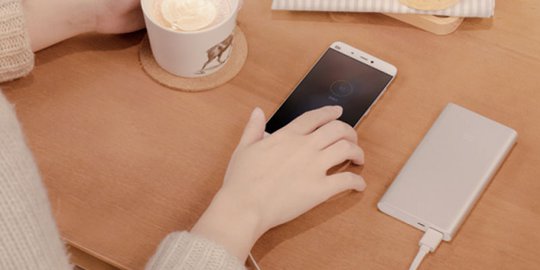 bank 2i 10000mah