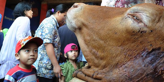 Jelang Sepekan Ramadan, Harga Pangan Mulai Daging Sampai Telur Terpantau Turun