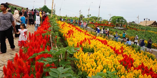 Ramadan akhir pekan di Banyuwangi, bisa habiskan waktu sore ke Agro Expo