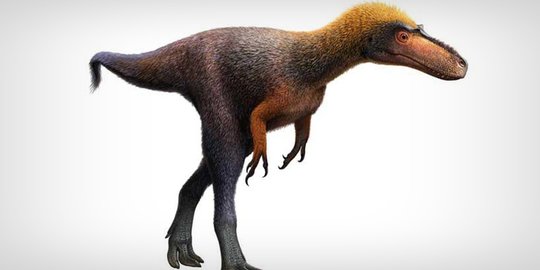Ilmuwan Sebut Nenek Moyang T-Rex Ternyata Mungil, Tak Sampai 1 Meter!