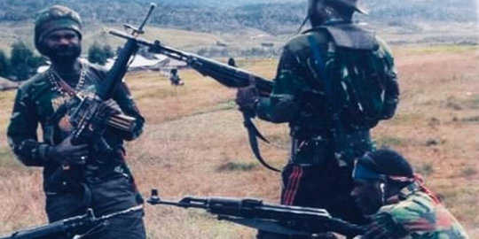Sedang Patroli, 12 TNI Diserang 20 Anggota KKB di Nduga Papua