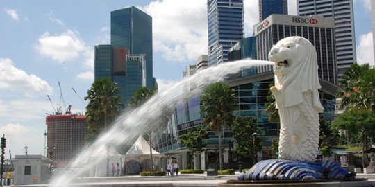 Kedutaan Singapura Buka Suara Soal Kasus Penyakit Cacar Monyet