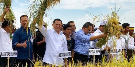 DPR Imbau Kemenhub & Pihak Terkait Duduk Bersama Evaluasi Harga Tiket Pesawat