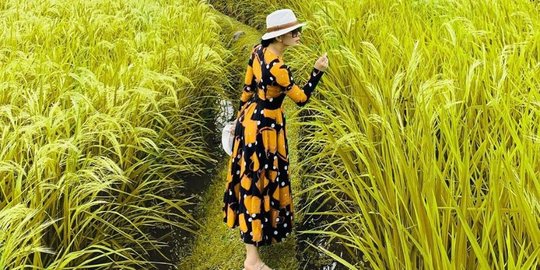 Pose di Tengah Sawah, Baju yang Dipakai Syahrini Harganya Fantastis