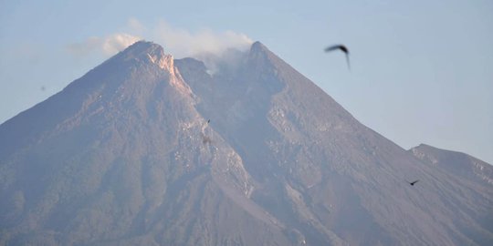 Gunung Merapi Semburkan Awan Panas ke Arah Kali Gendol