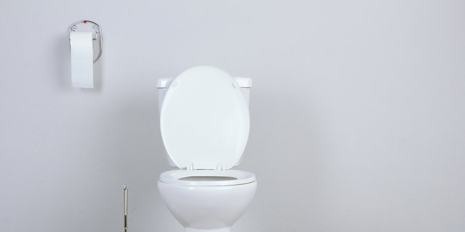 Peneliti Selandia Baru Melakukan Inovasi Toilet Bersih, Seperti Apa?