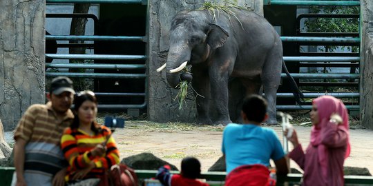 Ragunan dan Monas Tutup di Hari Pertama Lebaran