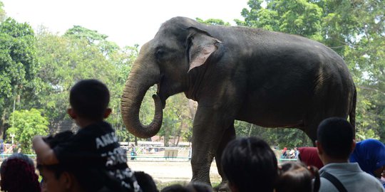 Usai Lebaran, 150 Ribu Pengunjung Diperkirakan Bakal Padati Ragunan