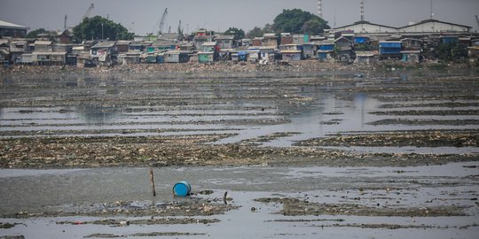 Surut, Waduk Pluit Kotor dan Bau