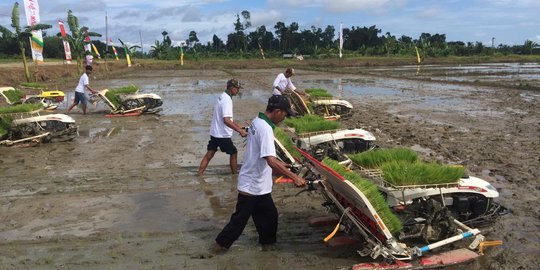 Nilai Tukar Petani Naik 0,38 Persen Pada Mei 2019