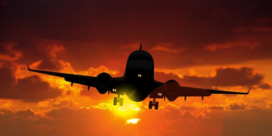 Iklim Bisnis Penerbangan RI Dinilai Belum Menarik Minat Maskapai Asing