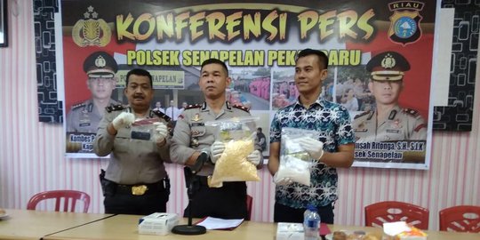 Kubur 7.425 Pil Ekstasi & 454 Gram Sabu di Belakang Rumah, Hendri Diciduk Polisi