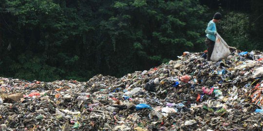 Pasukan Larva Pengurai Sampah di Banyumas