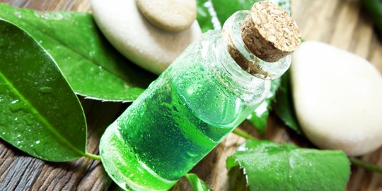 oil untuk gatal di kulit rev1