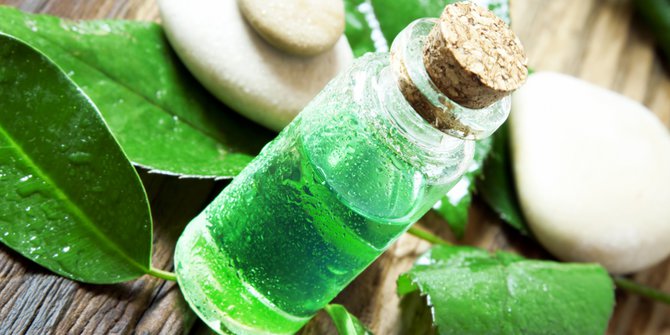 Cara Benar Manfaatkan Tea Tree Oil untuk 3 Masalah Kulit