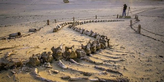 7 Rahasia Tersembunyi di Balik Hamparan Pasir Gurun Sahara
