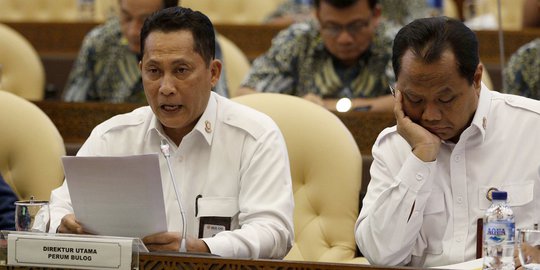 Bulog Gelar Rapat dengan Komisi IV DPR RI