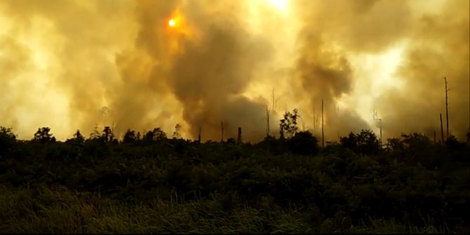 300 Desa di Sumatera Selatan Rawan Kebakaran Hutan