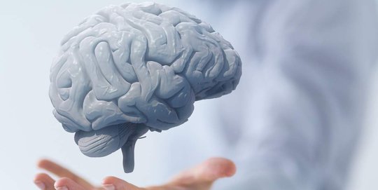 Jenjang Pendidikan dan Kecerdasan Bisa Bantu Perlambat Dampak Masalah Otak