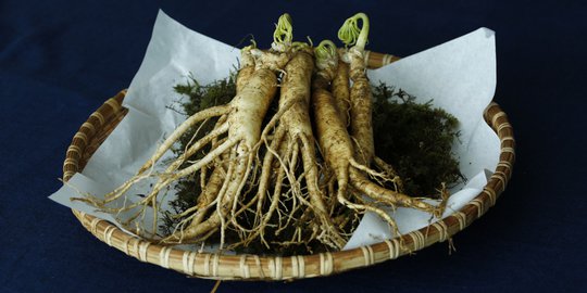 5 cara alami untuk tingkatkan produksi kolagen setiap hari
