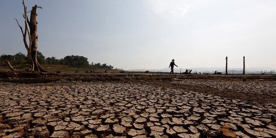 Musim Kemarau, Ribuan Hektare Lahan Pertanian di Jabar Gagal Panen