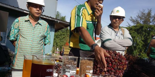 Cerita Kemenperin Genjot Industri Oleokimia Dalam Negeri