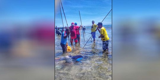 Snap Mor, Tradisi Tangkap Ikan Masyarakat Biak yang Terus Dilestarikan