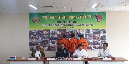 Polisi Gagalkan Penjualan Satwa Liar Dilindungi Lewat Penitipan Bus & Ojek Online