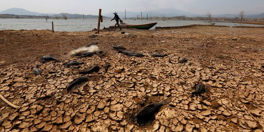 230 Hektare Lahan di Tasikmalaya Terancam Kekeringan